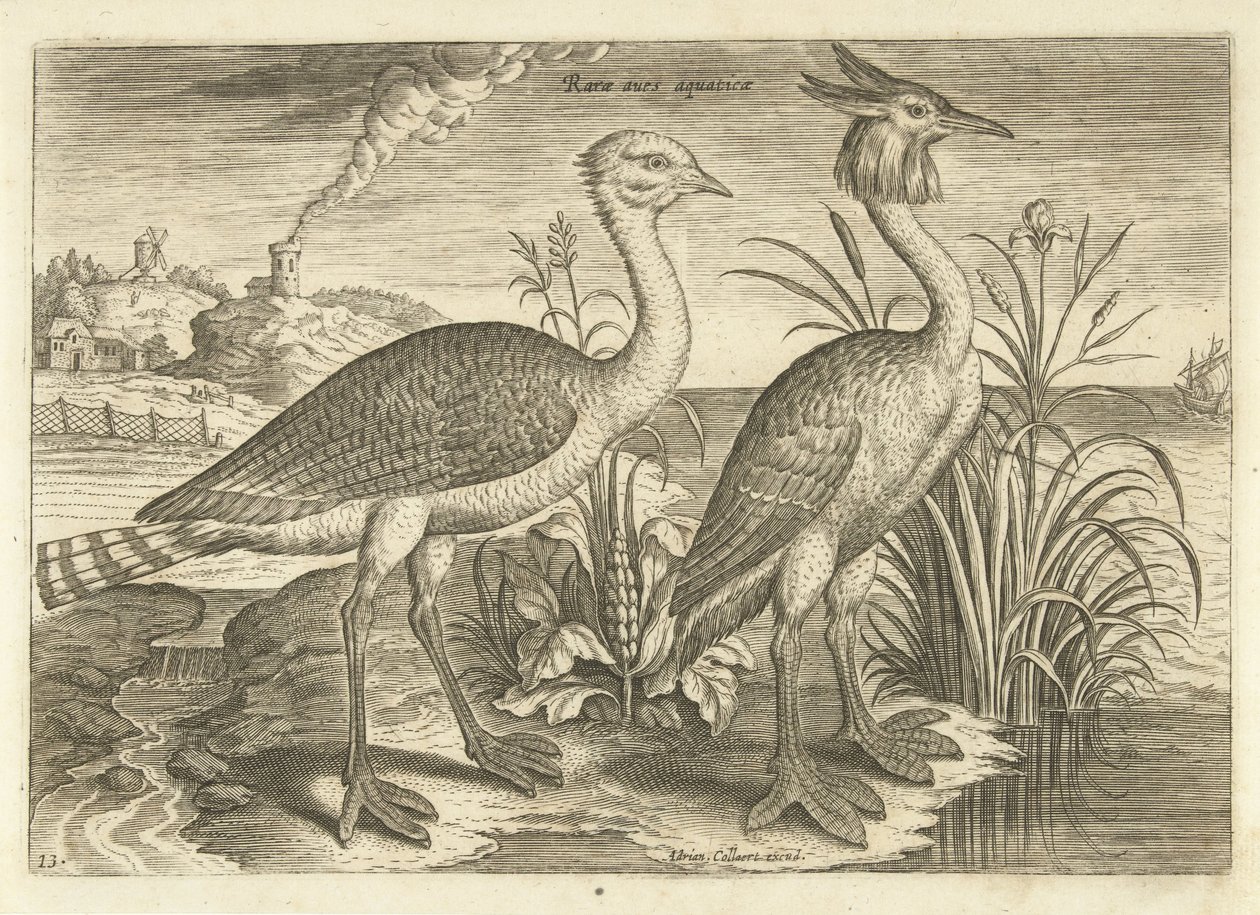Zwei Watvögel in einer Landschaft (Serie: Vögel, Avivm vivae) von Adriaen Collaert