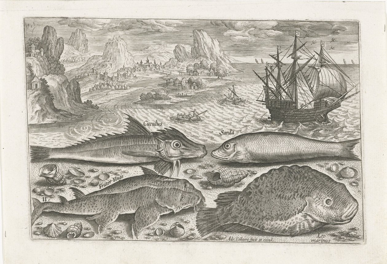 Vier Fische am Strand von Adriaen Collaert