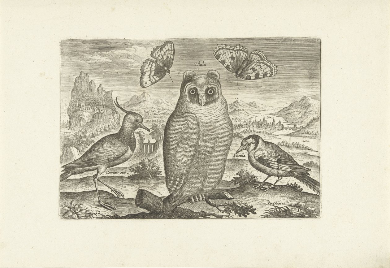 Vögel und Schmetterlinge in einer Landschaft von Adriaen Collaert