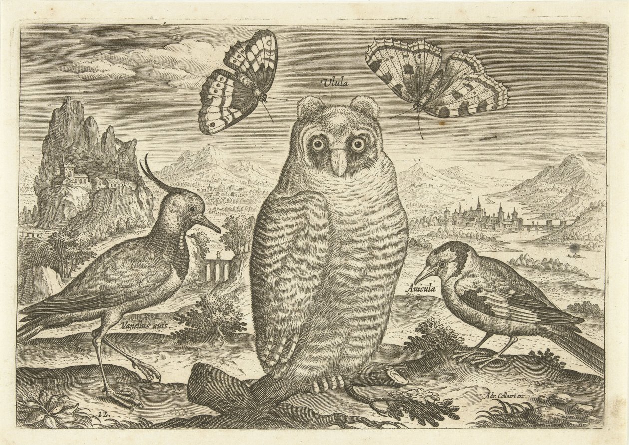 Vögel und Schmetterlinge in einer Landschaft von Adriaen Collaert