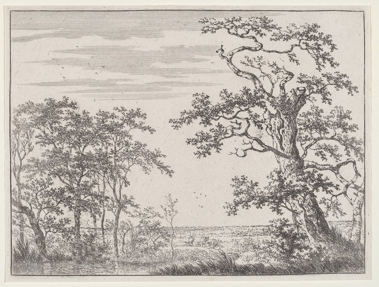 Landschaft mit einem Bach und einem alten Baum von Adriaen Hendricks Verboom