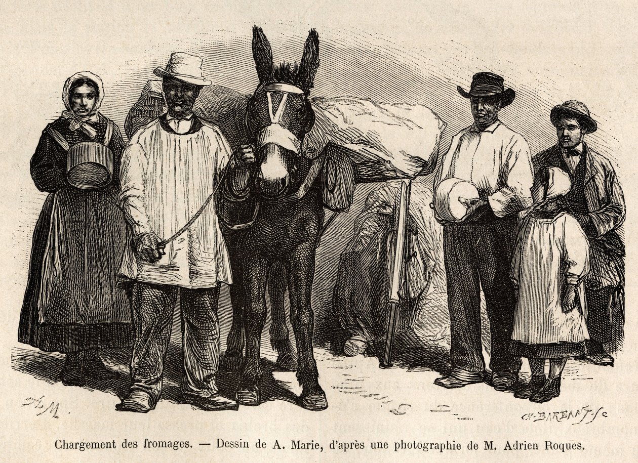 Das Beladen von Käse auf den Rücken eines Maultiers, in Richtung der Keller von Roquefort, Gravur nach einer Zeichnung von A. Marie, zur Illustration einer Reise nach Roquefort und Umgebung, von Adrien Roques und Jules Charton, 1874, veröffentlicht in „Le  von Adrien Emmanuel Marie
