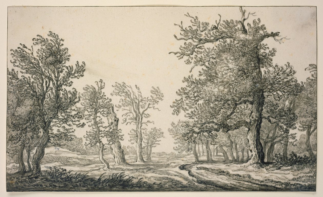 Pfad durch einen Eichenwald von Aelbert Cuyp