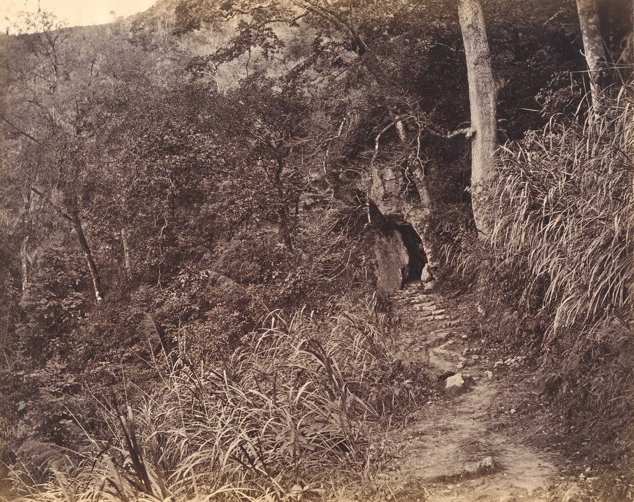 Linker Weg zum Yuen-Foo-Kloster, ca. 1869 von Afong Lai
