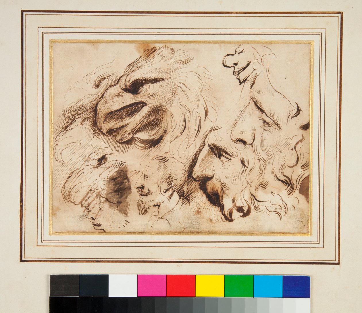 Blatt mit Studien eines Adlerkopfes und Männerprofilen und Karikaturen von Agostino Carracci
