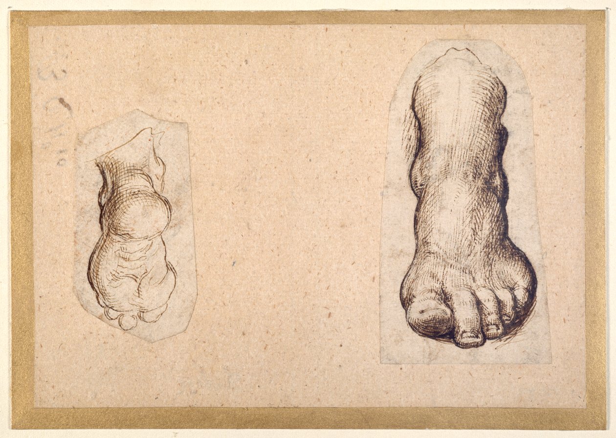 Zwei Studien eines Fußes in Verkürzung von Agostino Carracci
