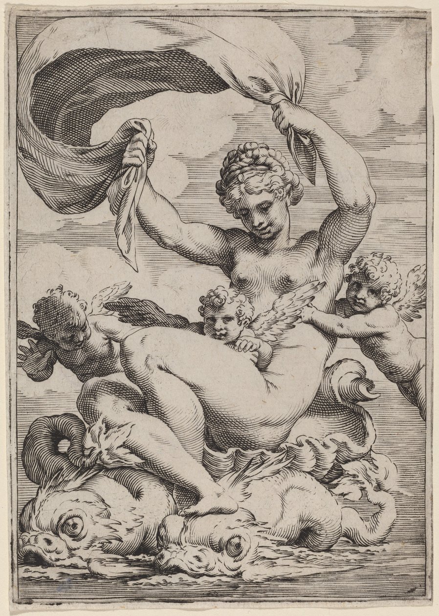 Venus oder Galatea von Delfinen getragen von Agostino Carracci