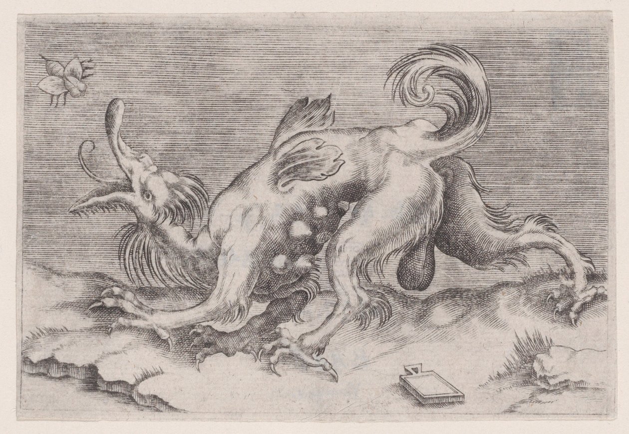 Der Drache und die Biene von Agostino Veneziano