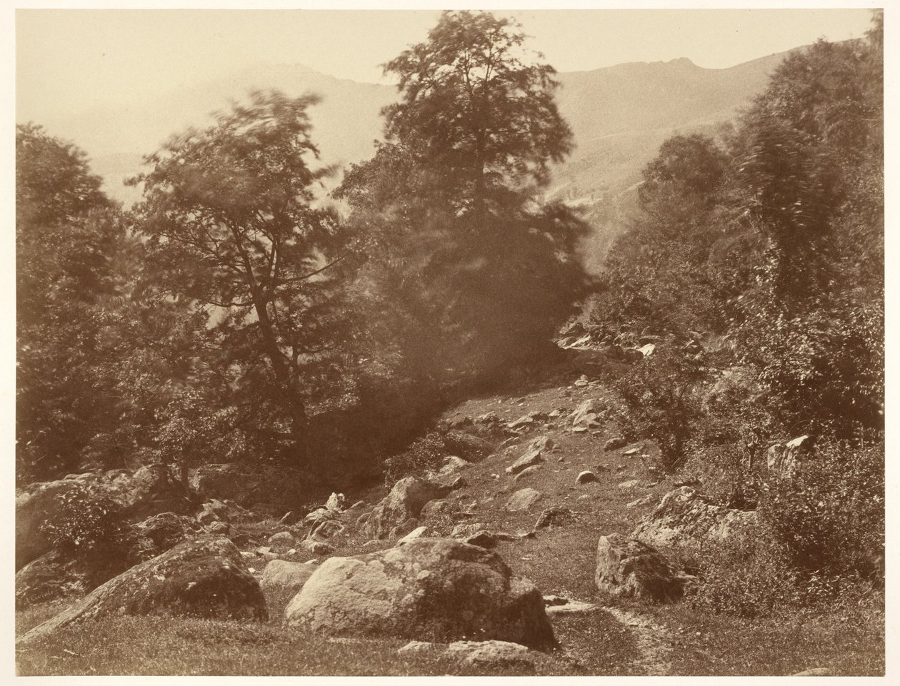 Das Tal des Lys (Windstoß) von Aimé Civiale