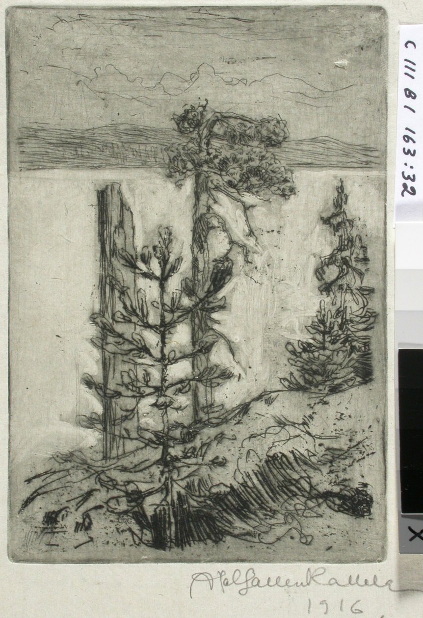 Landschaft am See von Akseli Gallen-Kallela