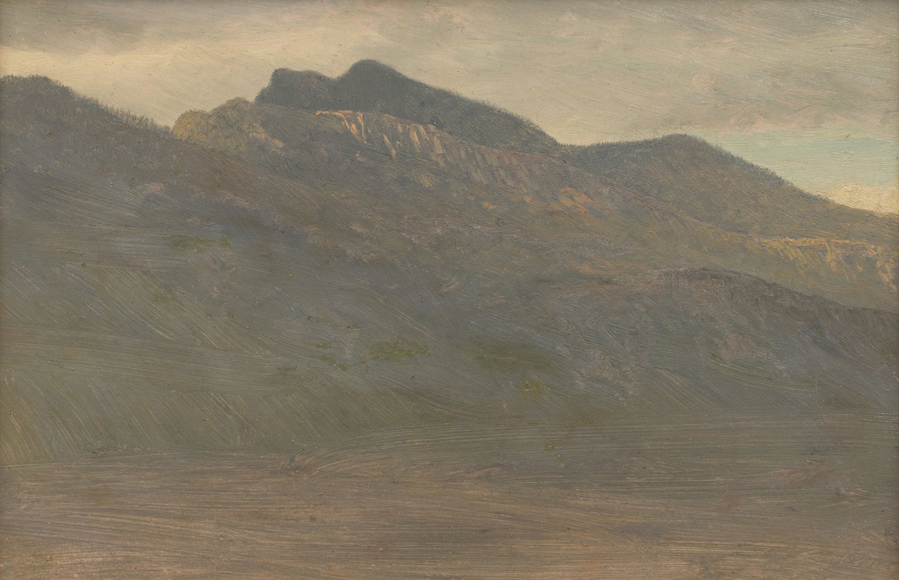 Heiterer Bergblick (White Mountains, New Hampshire) von Albert Bierstadt