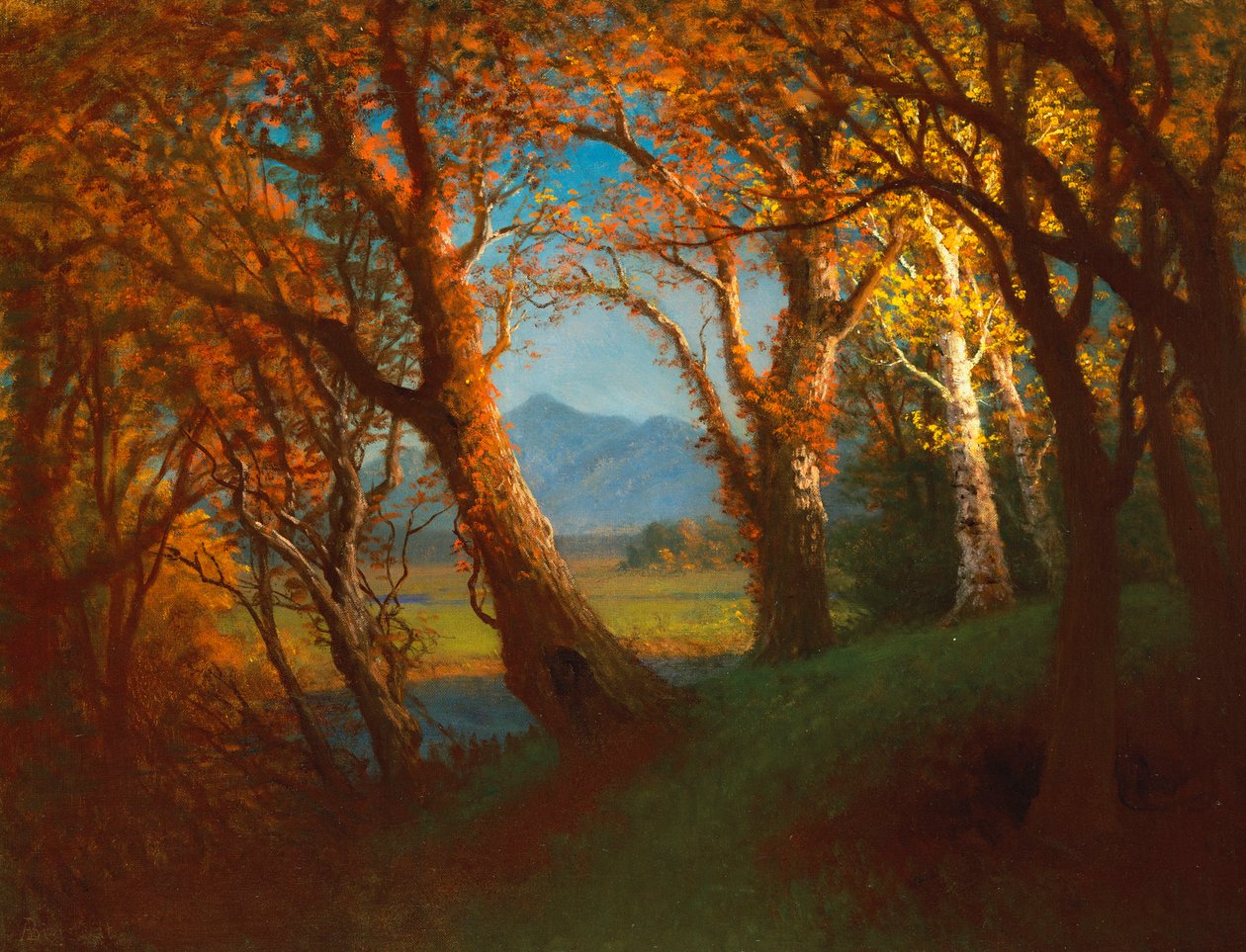 Sonnenuntergang im Nebraska-Territorium von Albert Bierstadt