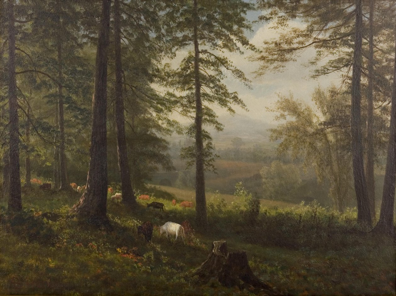 Blick auf eine Lichtung von Albert Bierstadt