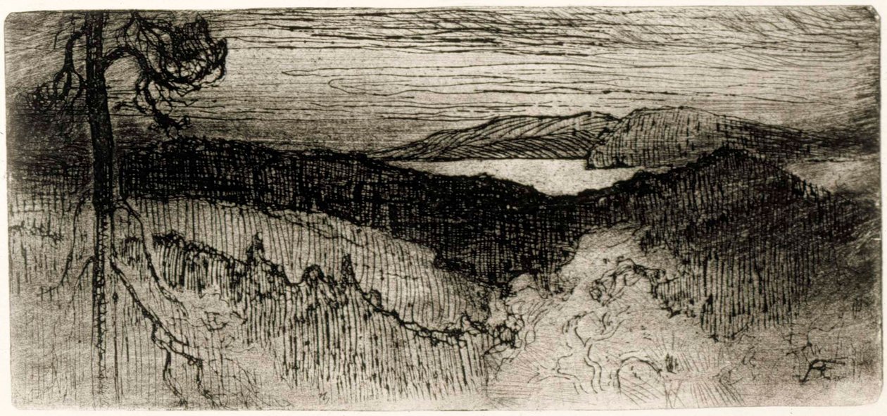 Landschaft aus Tavastland von Albert Edelfelt