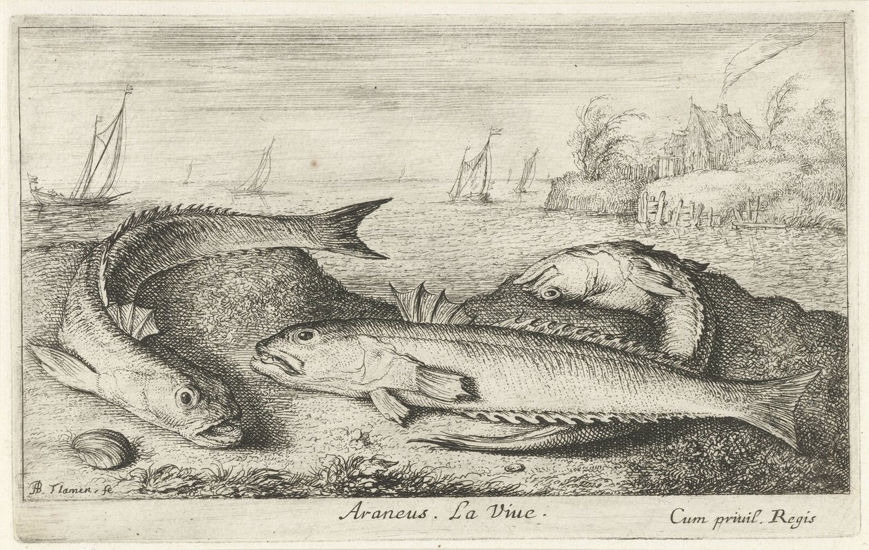 Drei gefleckte Petermännchen am Strand von Albert Flamen