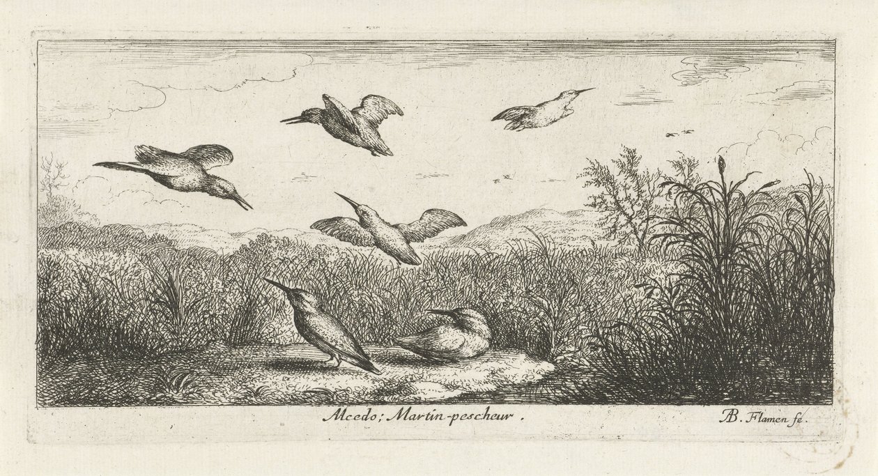 Landschaft mit Eisvögeln von Albert Flamen