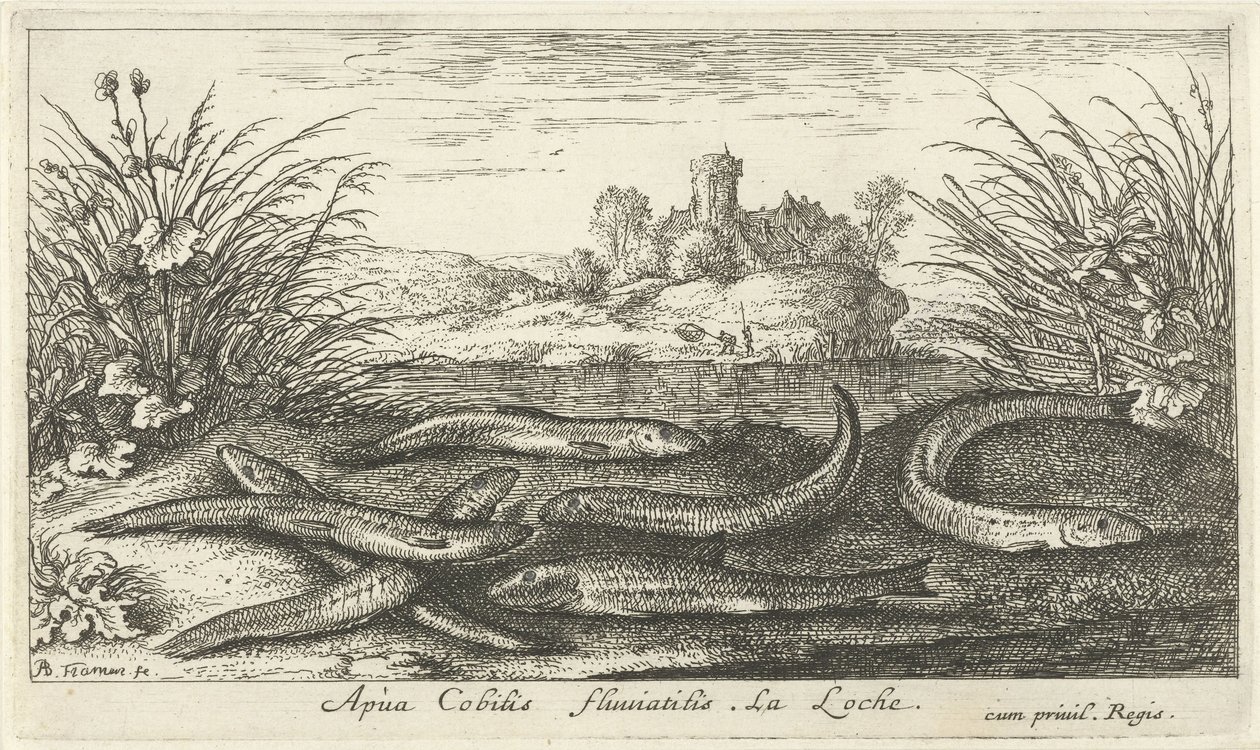 Schlammkriecher am Flussufer von Albert Flamen