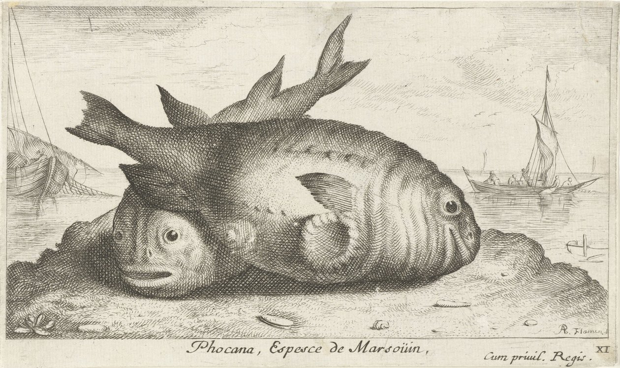 Zwei Schweinswale auf dem Strand von Albert Flamen