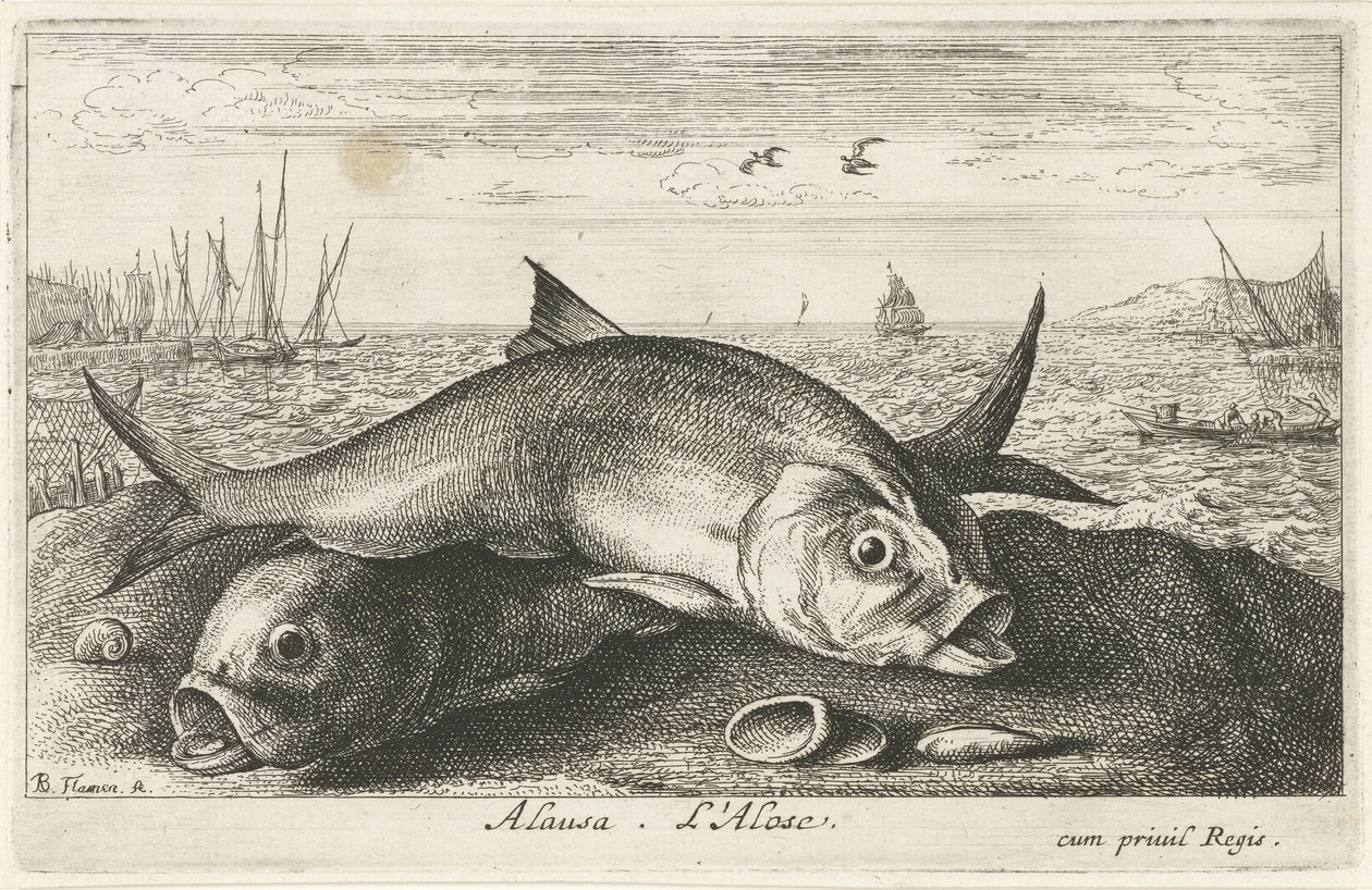 Zwei Maifische am Strand von Albert Flamen
