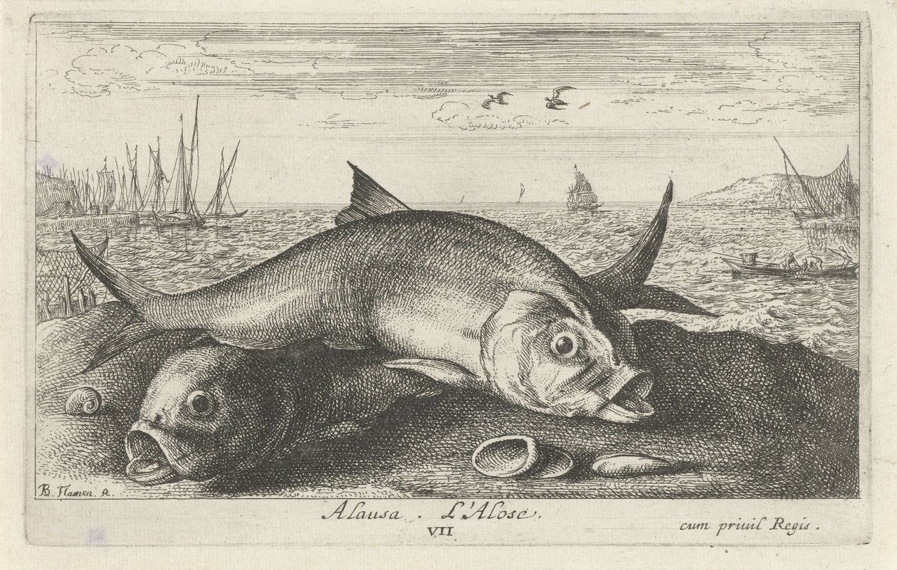 Zwei Maifische am Strand von Albert Flamen