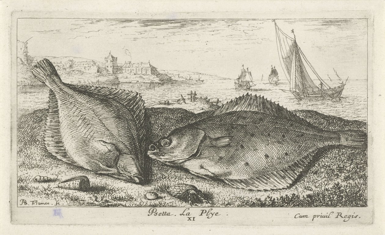 Zwei Plattfische am Strand von Albert Flamen