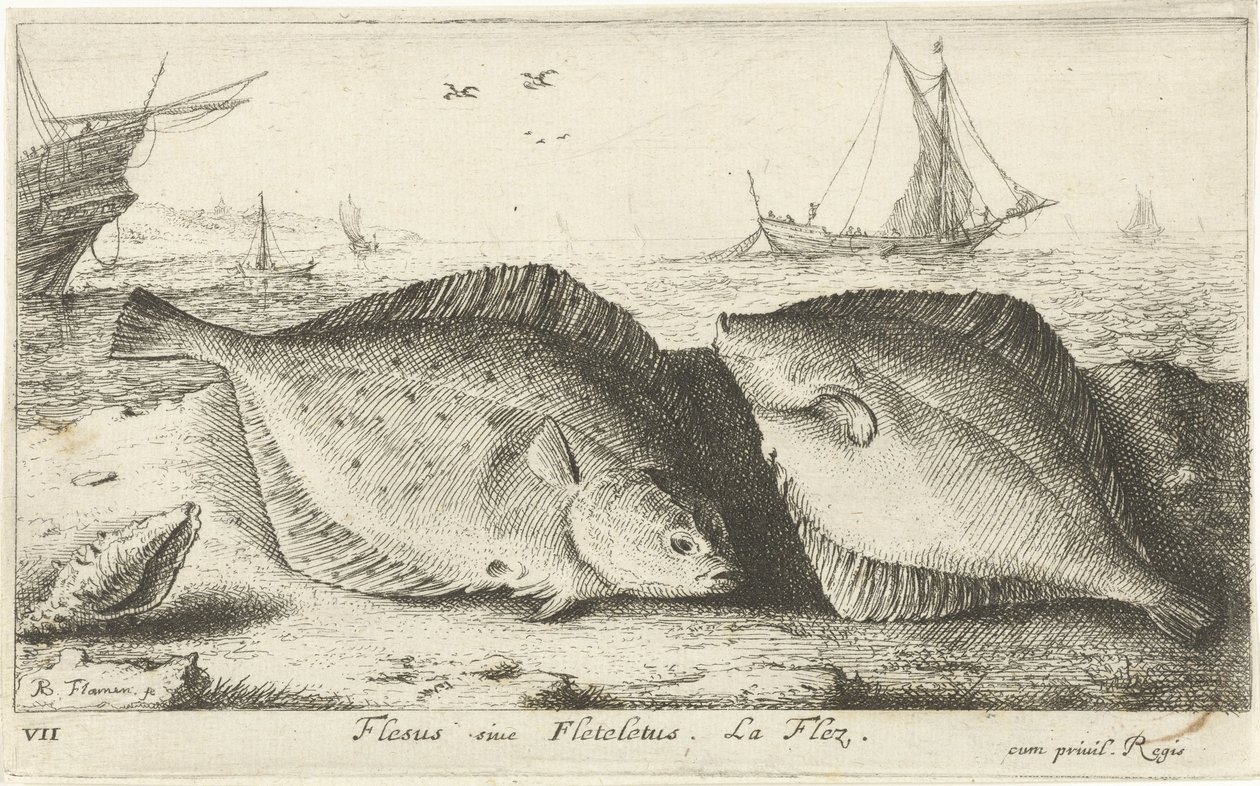Zwei Schollen am Strand von Albert Flamen