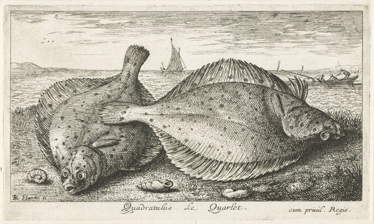 Zwei Schollen am Strand von Albert Flamen