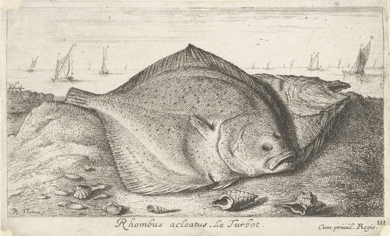 Zwei Steinbutte am Strand von Albert Flamen