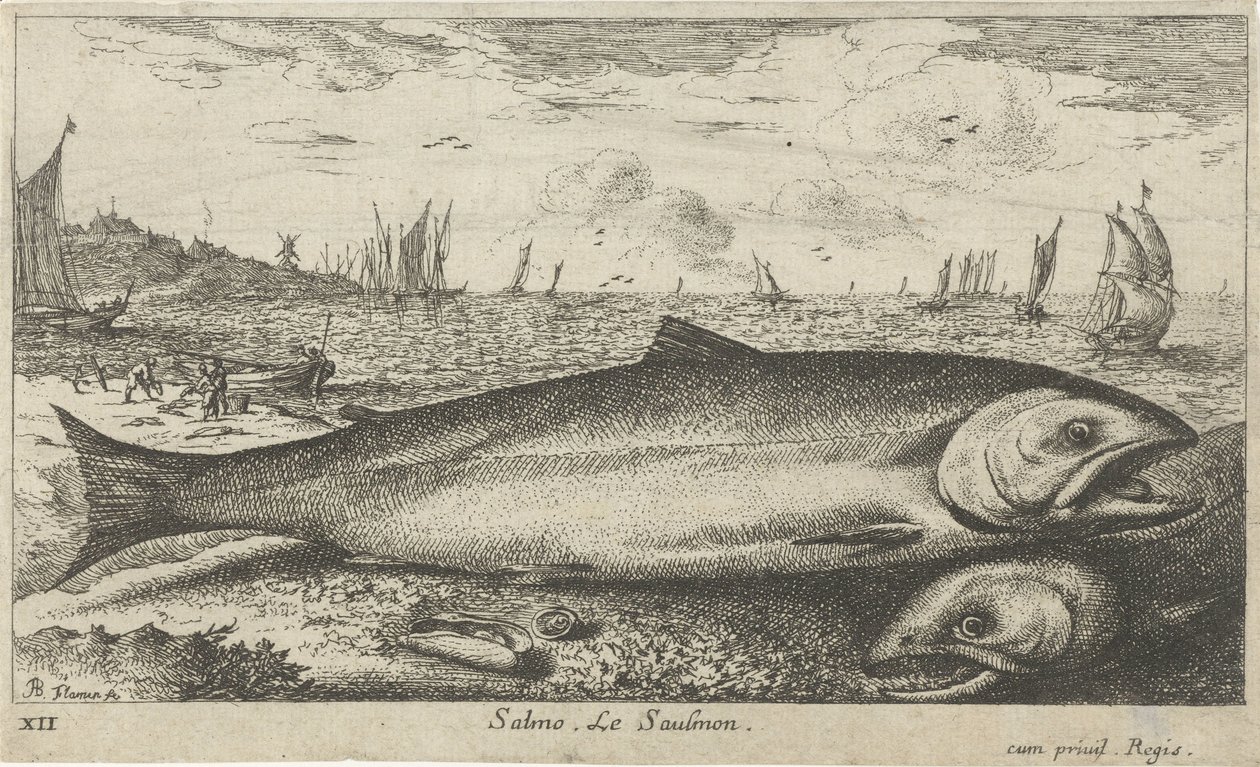 Zwei Lachse am Strand von Albert Flamen