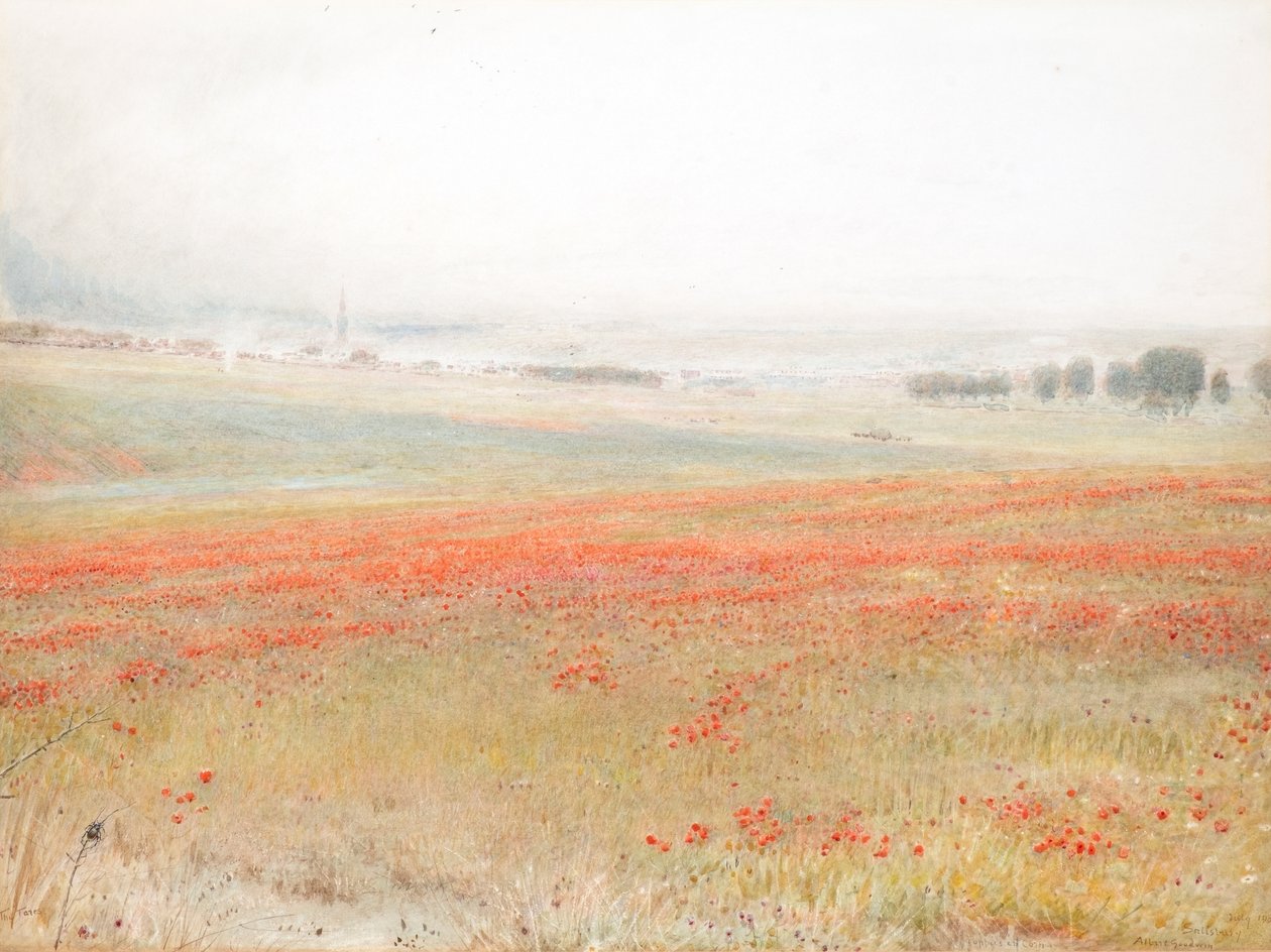 Die Unkräuter. Mohn im Korn. Salisbury von Albert Goodwin