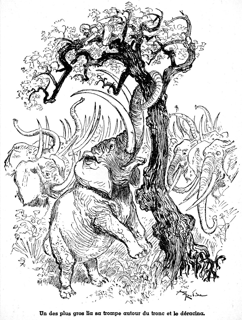 Sindbad der Seefahrer - Märchen aus Tausendundeiner Nacht - Illustration eines Buches von 1948 (Fortin-Ausgabe, Sammlung Wunderbare Kindheitsbilder) erzählt seine Abenteuer - Illustration von Albert Robida - Siebte Reise: A von Albert Robida