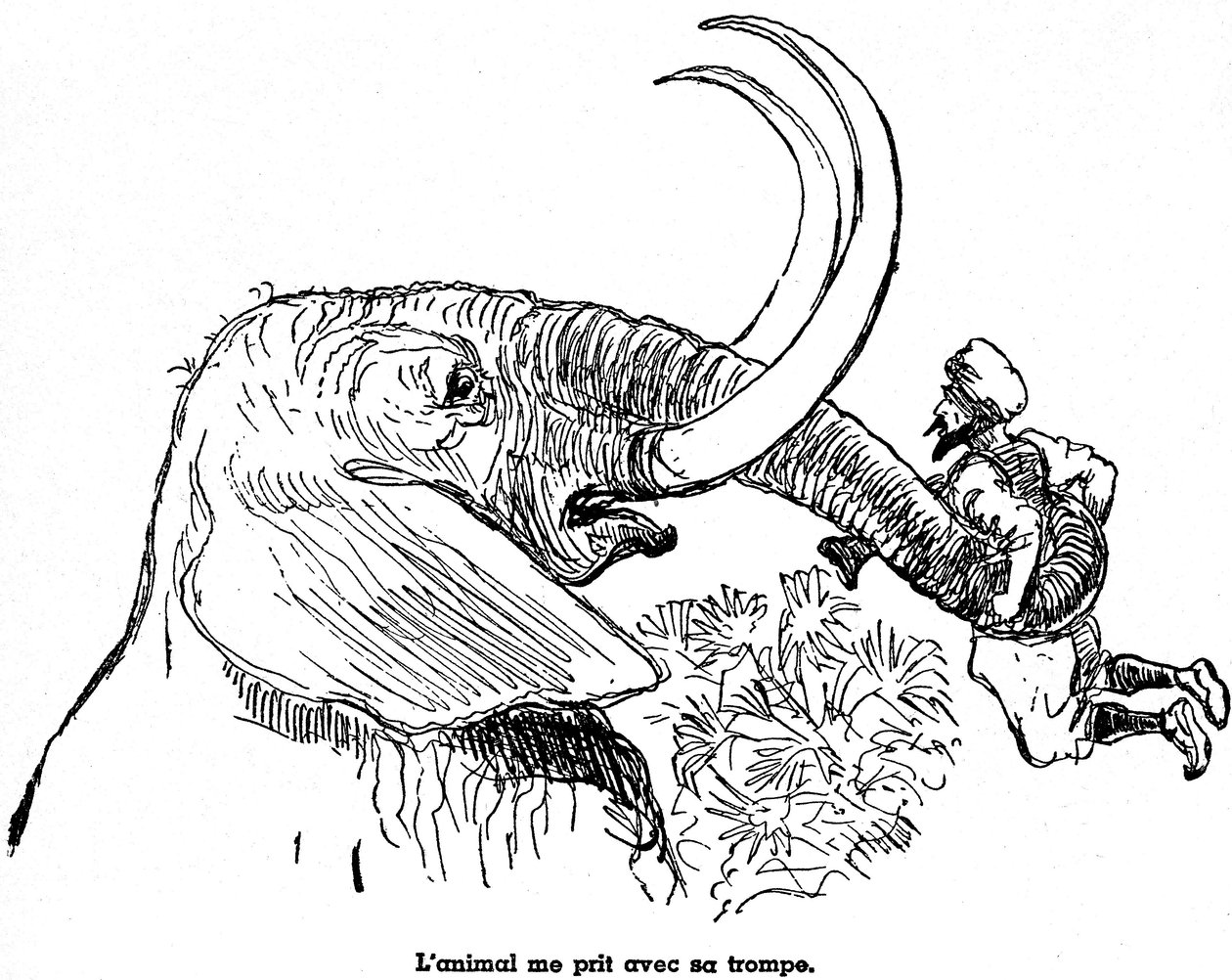 Sindbad der Seefahrer - Geschichte aus Tausendundeiner Nacht - Illustration eines Buches von 1948 (Fortin-Ausgabe, Sammlung Wunderbare Bilder der Kindheit), das seine Abenteuer erzählt - Illustration von Albert Robida (1848 - 1926) - Siebte Reise: Sindbad von Albert Robida