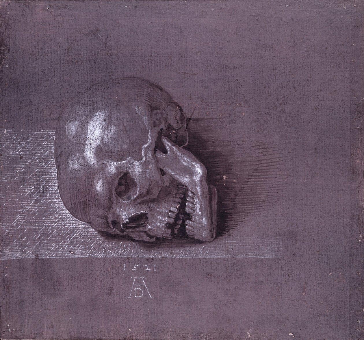 Studie eines menschlichen Schädels, 1521 von Albrecht Dürer