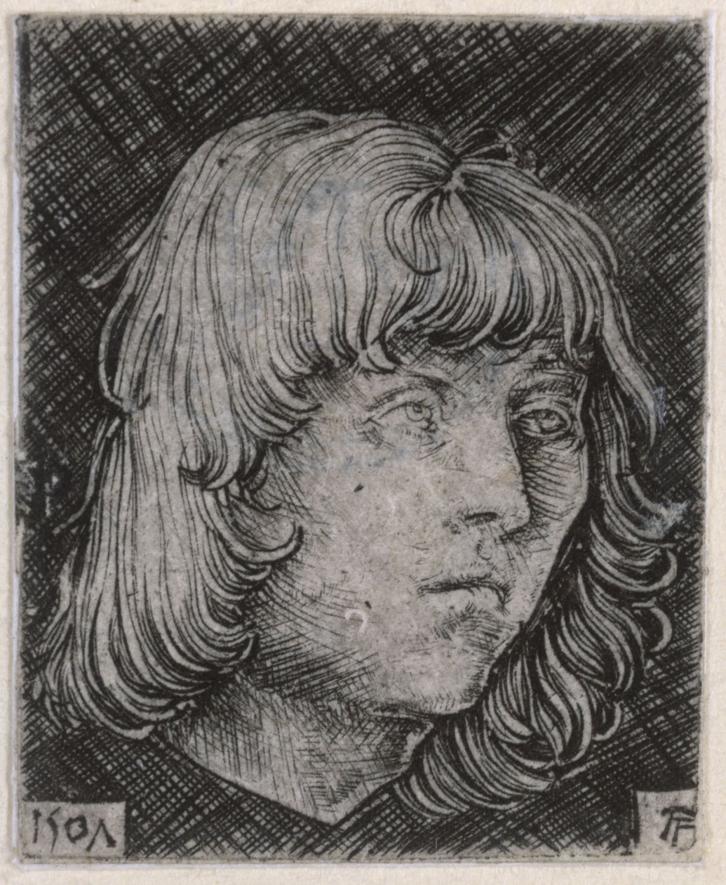 Kopf eines jungen Mannes von Albrecht Altdorfer