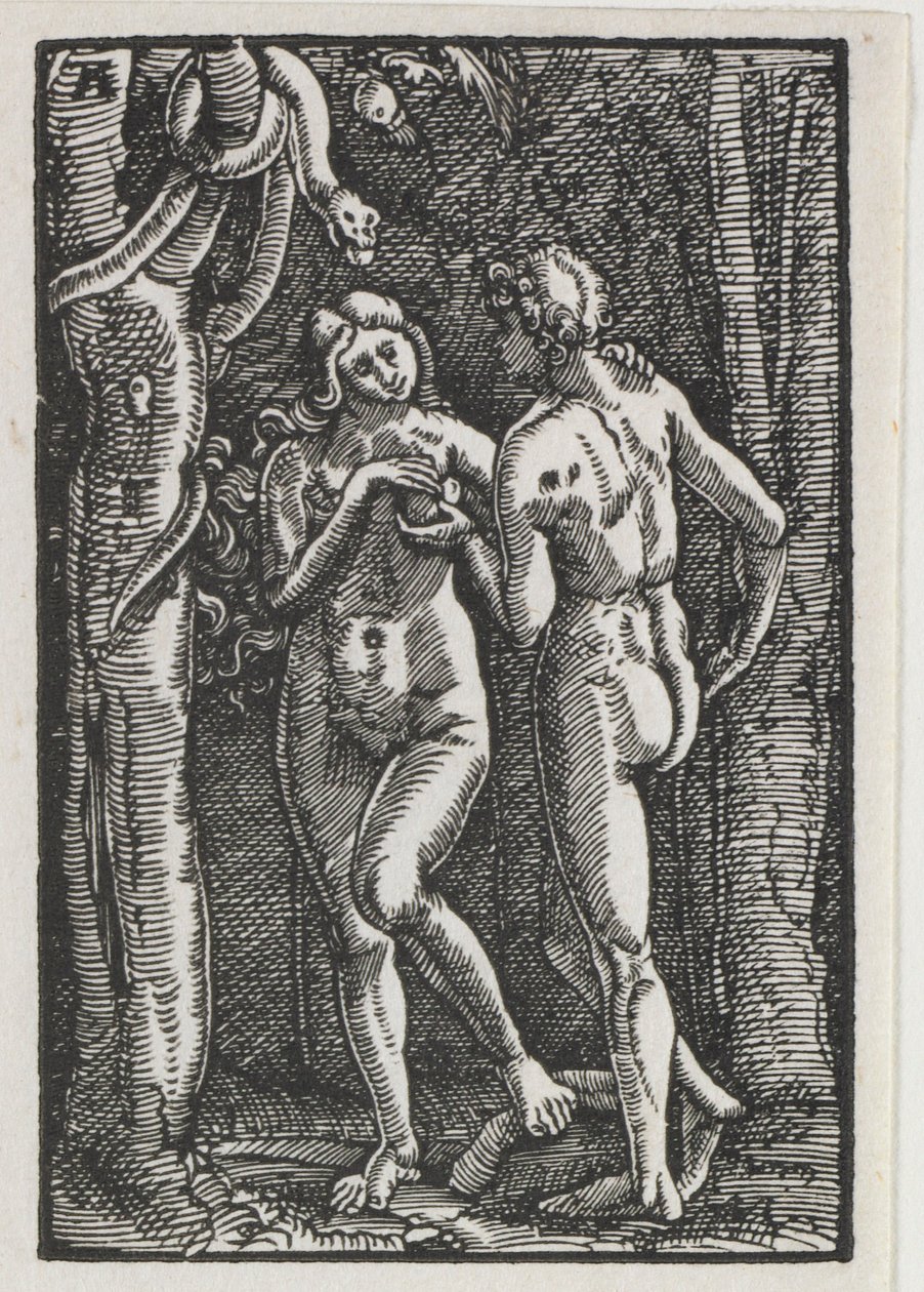 Der Fall und die Erlösung des Menschen: Adam und Eva essen die verbotene Frucht, um 1513 von Albrecht Altdorfer