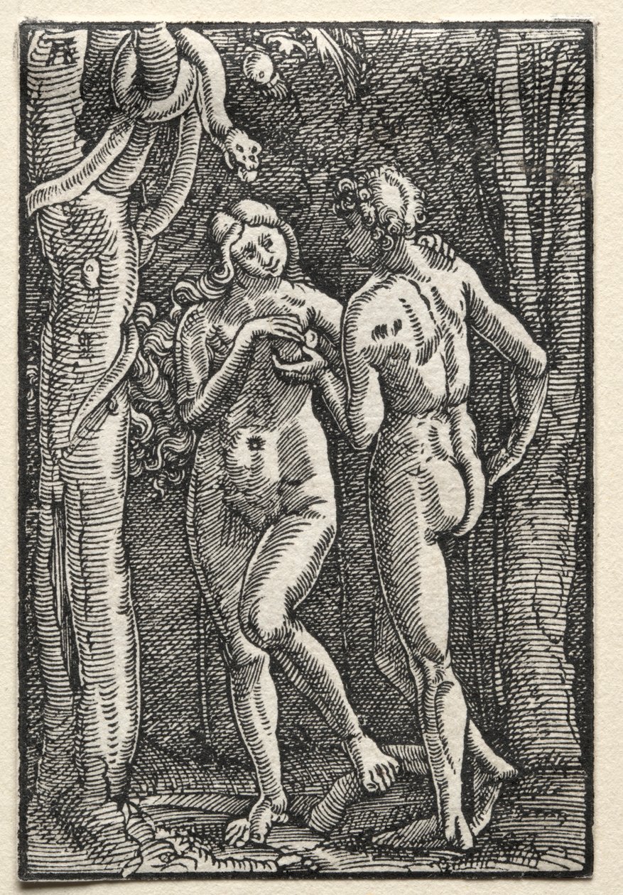 Der Fall und die Erlösung des Menschen: Adam und Eva essen die verbotene Frucht, um 1515 von Albrecht Altdorfer