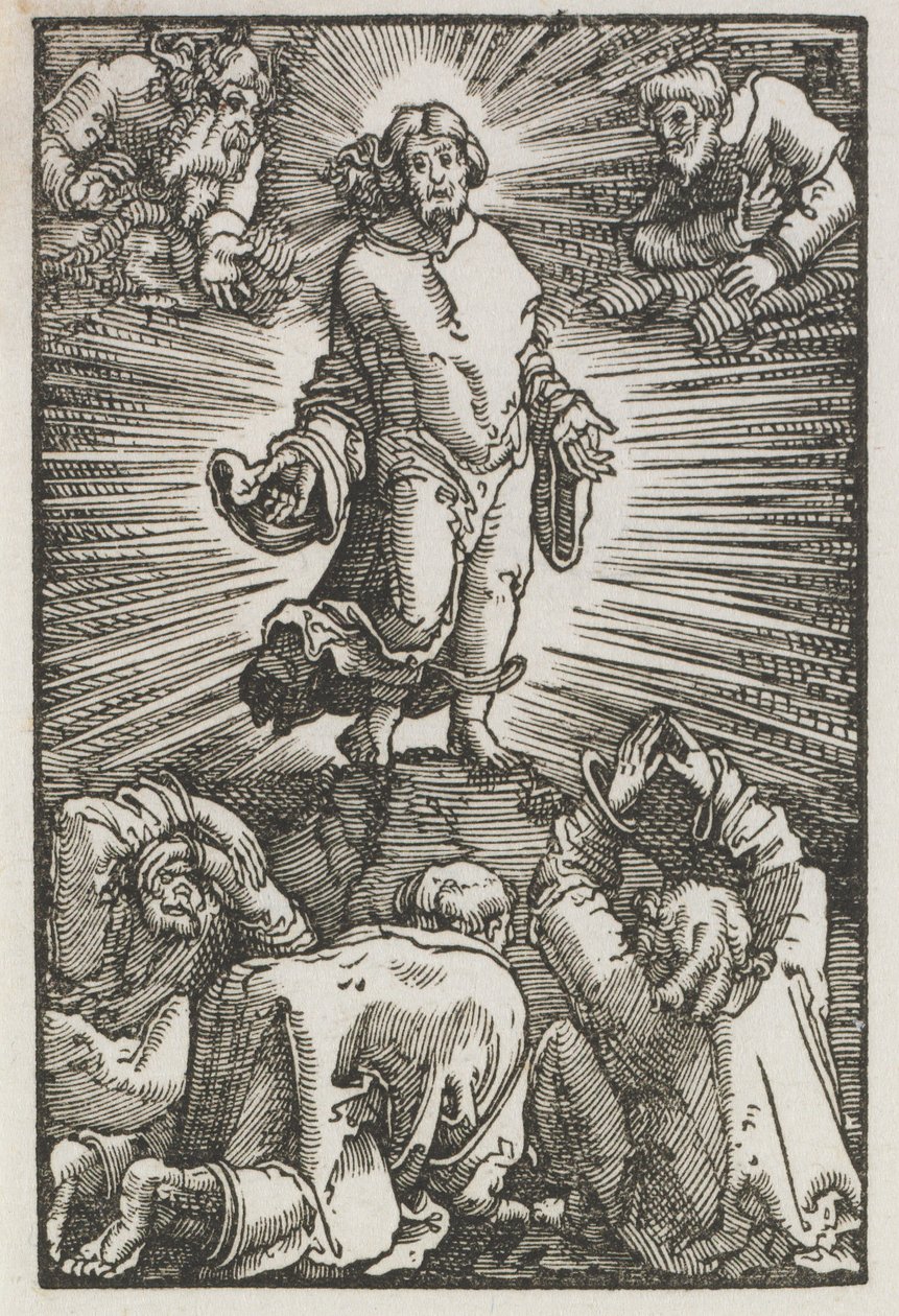 Der Fall und die Erlösung des Menschen: Die Verklärung von Albrecht Altdorfer