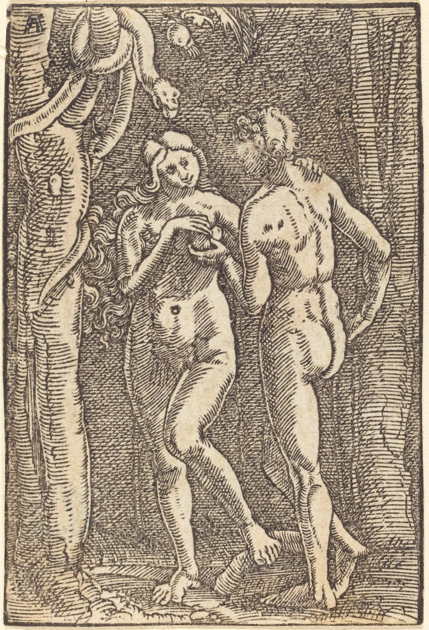 Der Sündenfall von Albrecht Altdorfer