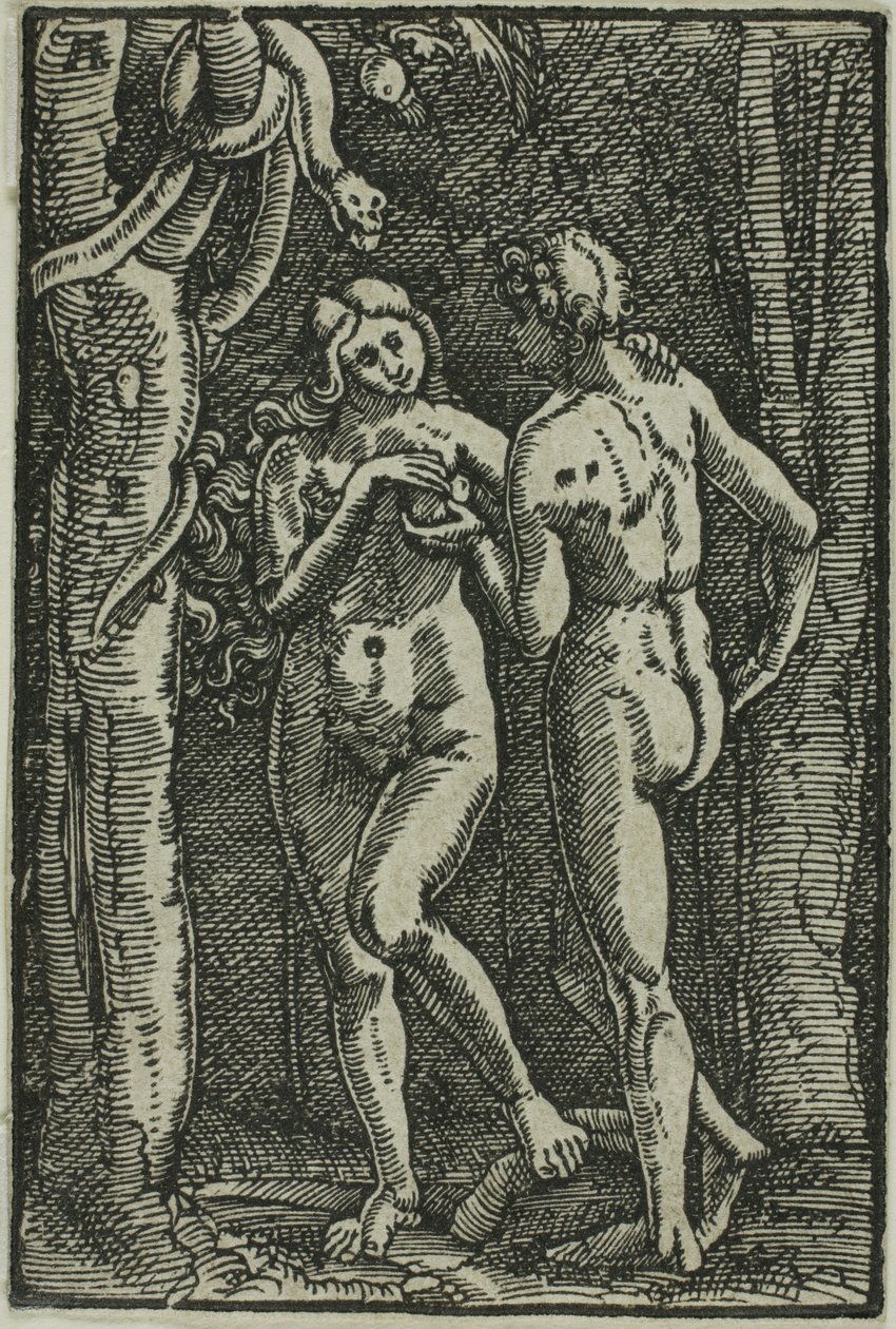 Der Sündenfall, aus Der Fall und die Erlösung des Menschen von Albrecht Altdorfer