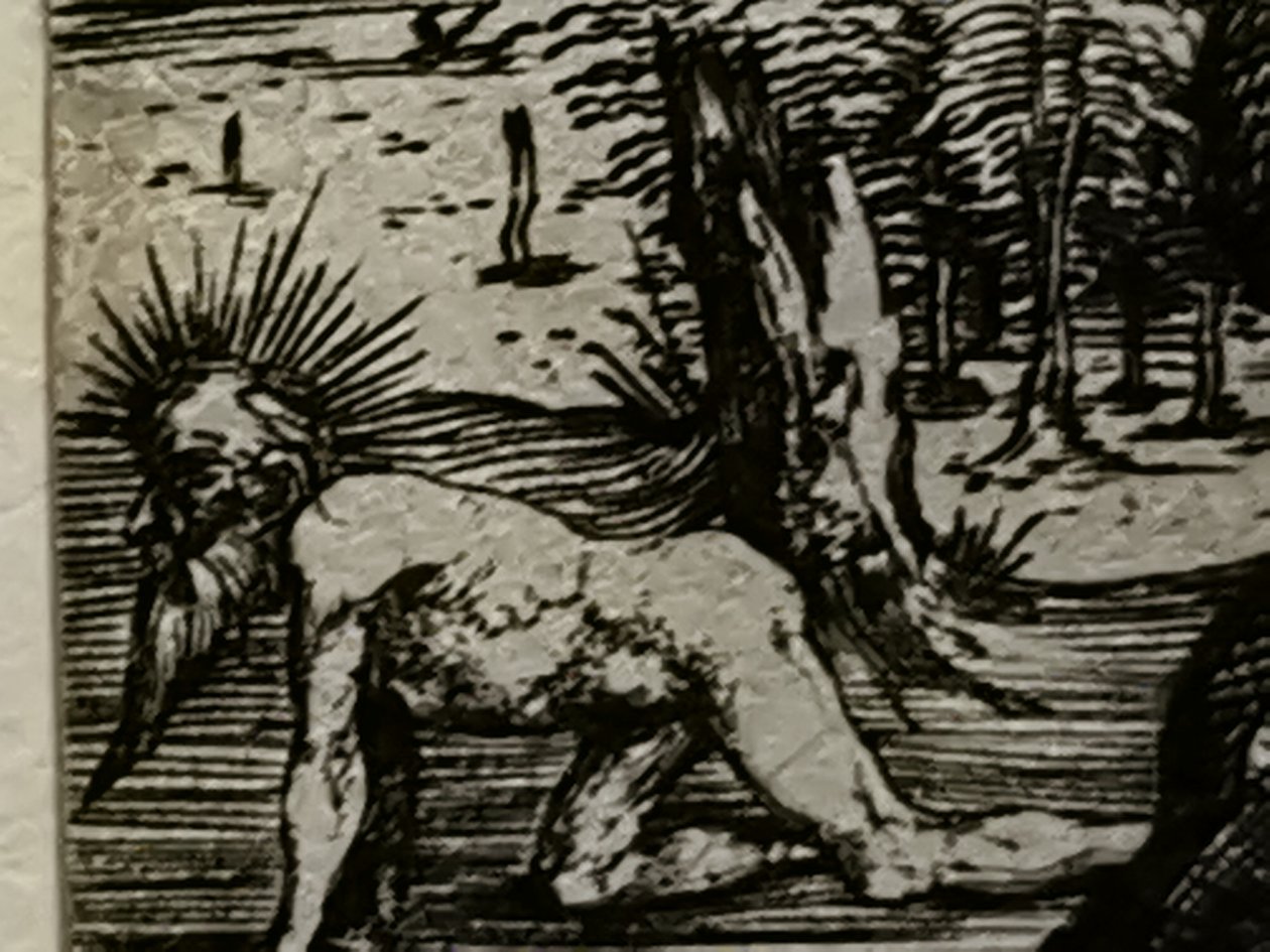 Zweite Julireise Mateus2019 Batch (72) von Albrecht Dürer