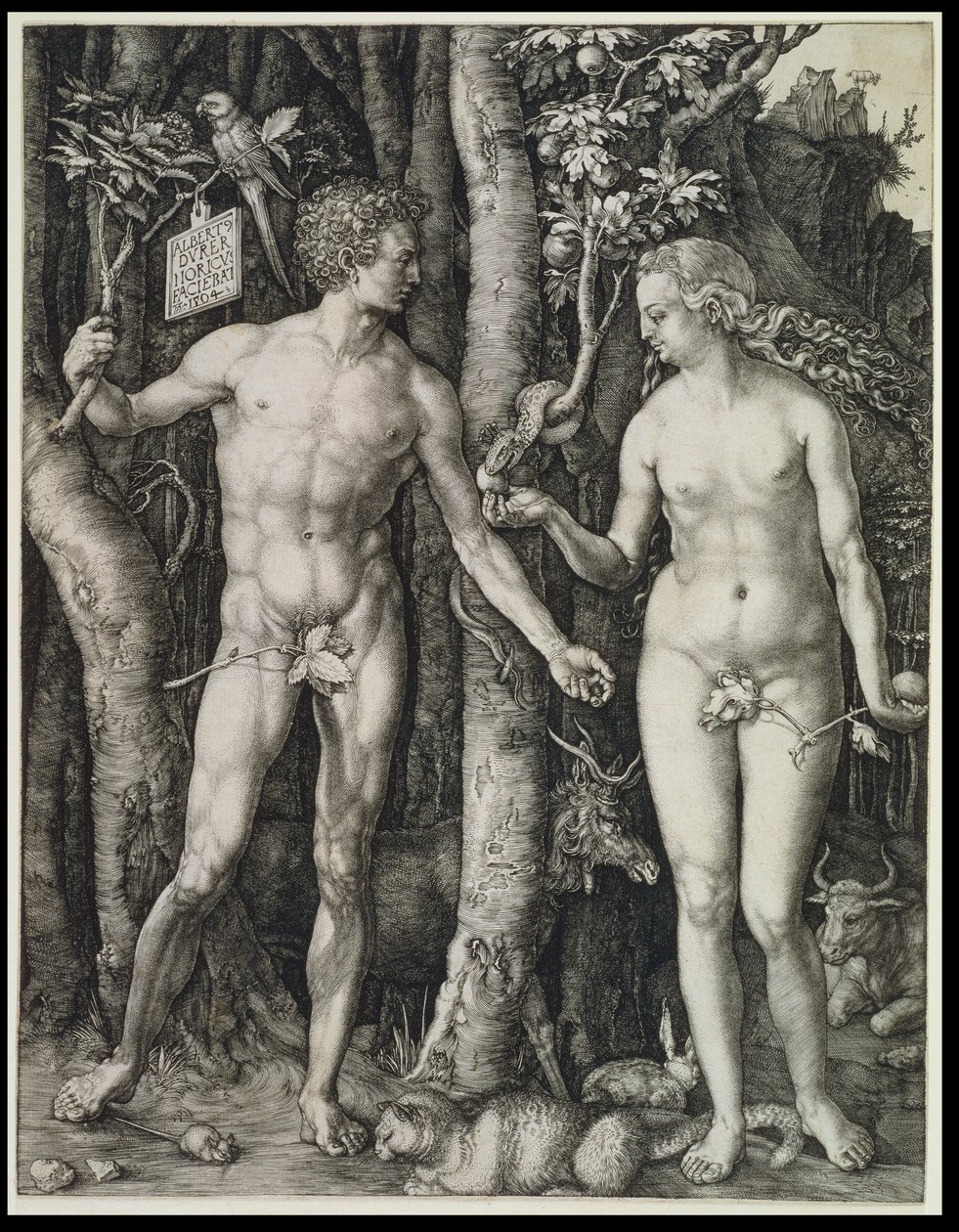 Adam und Eva (Der Sündenfall) von Albrecht Dürer