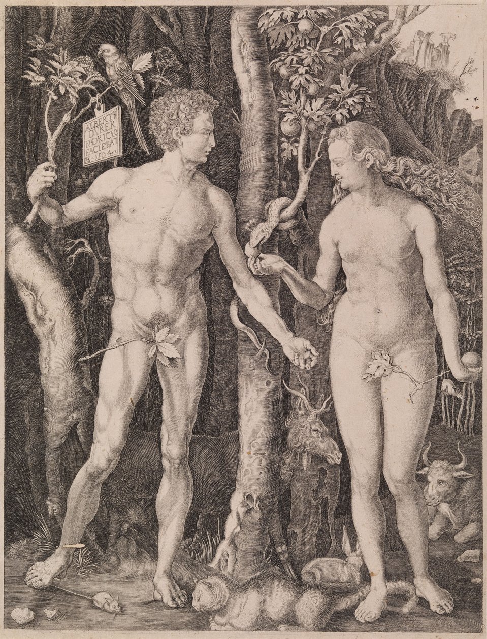 Adam und Eva von Albrecht Dürer