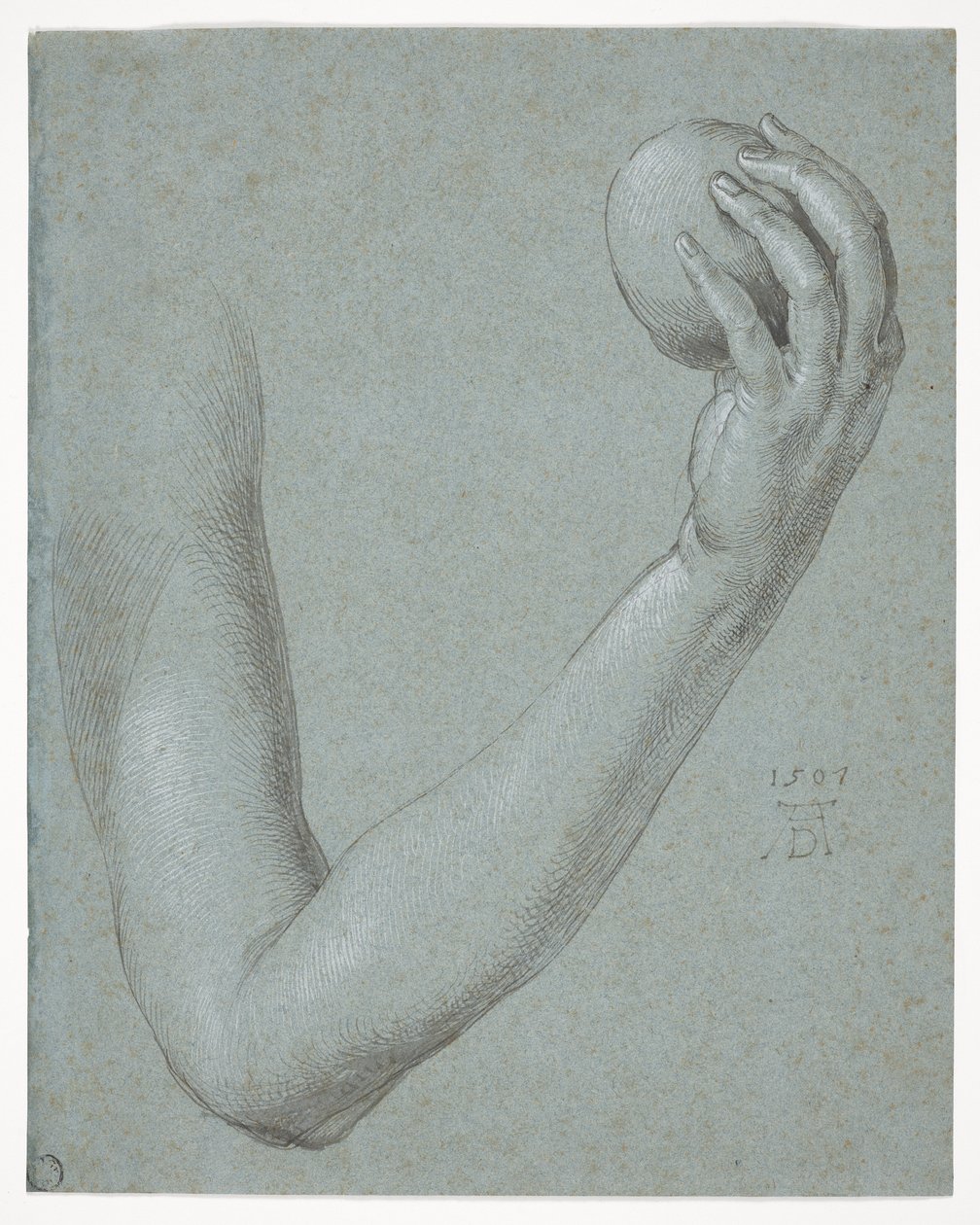 Arm von Eva von Albrecht Dürer