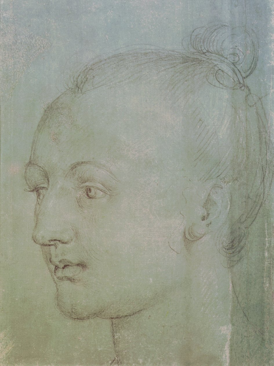 Kopf einer jungen Frau von Albrecht Dürer