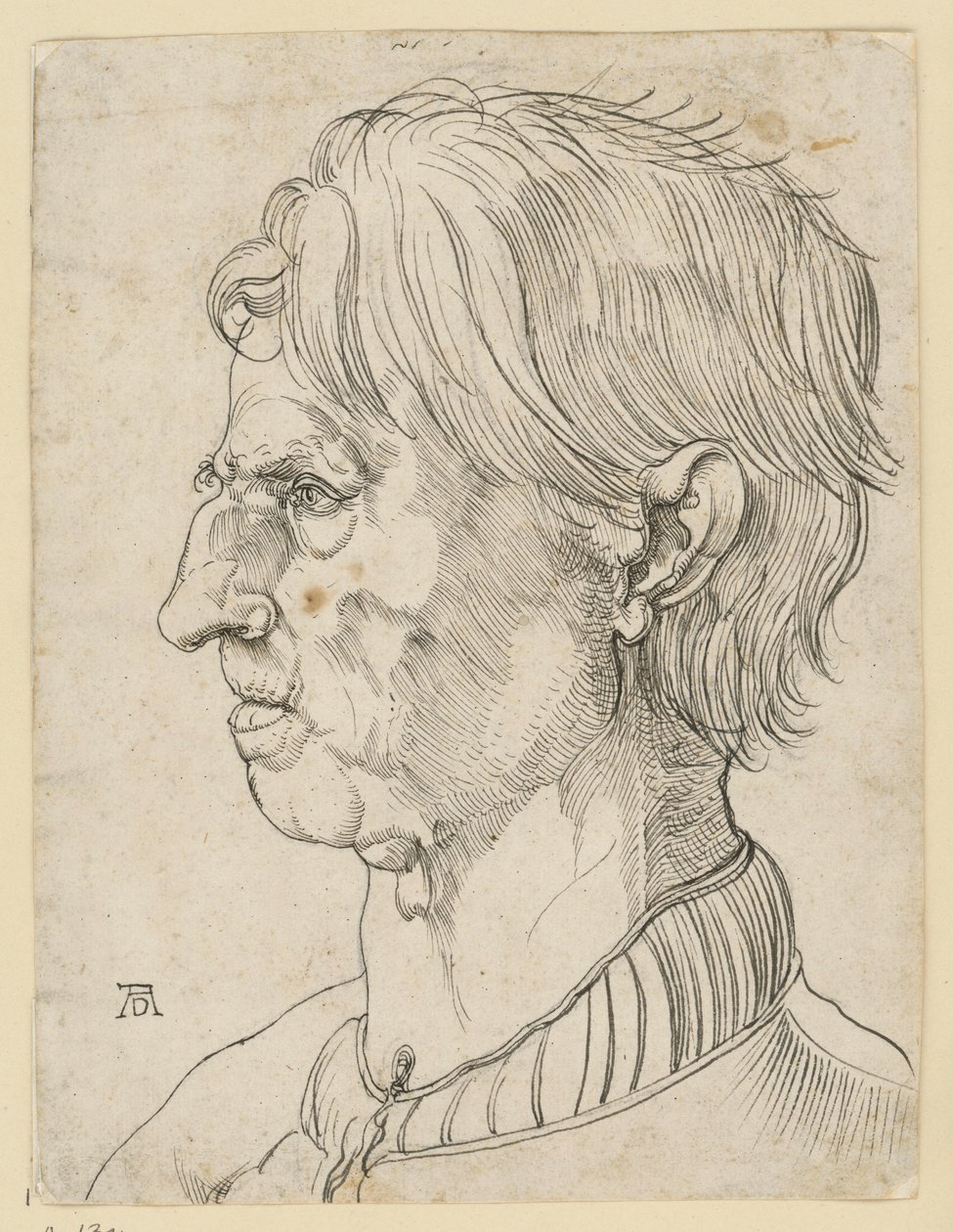 Kopf eines älteren bartlosen Mannes, im Profil nach links von Albrecht Dürer