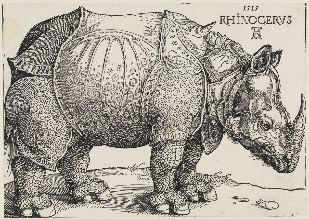 Rhinocerus (Das Rhinozeros) von Albrecht Dürer