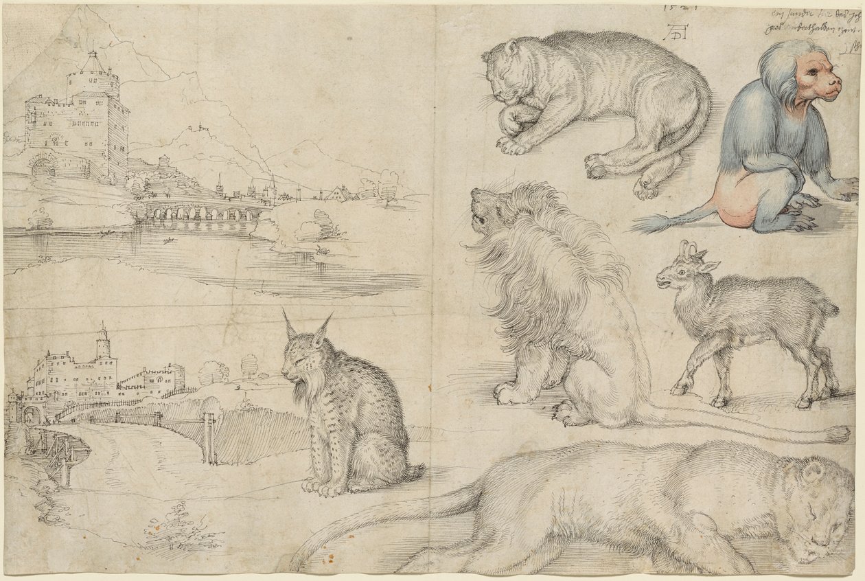 Skizzen von Tieren und Landschaften, 1521 von Albrecht Dürer
