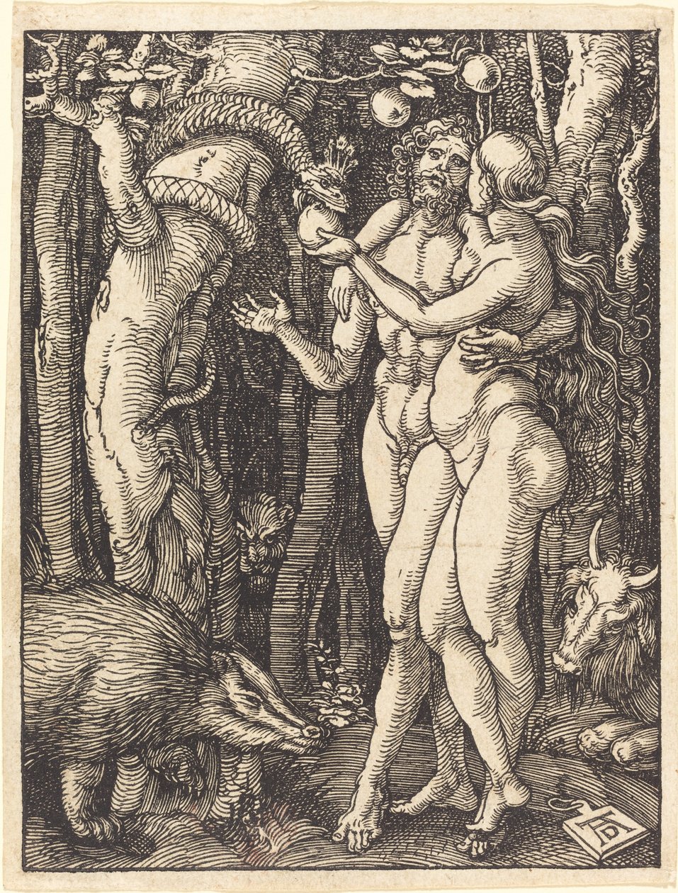 Der Sündenfall von Albrecht Dürer