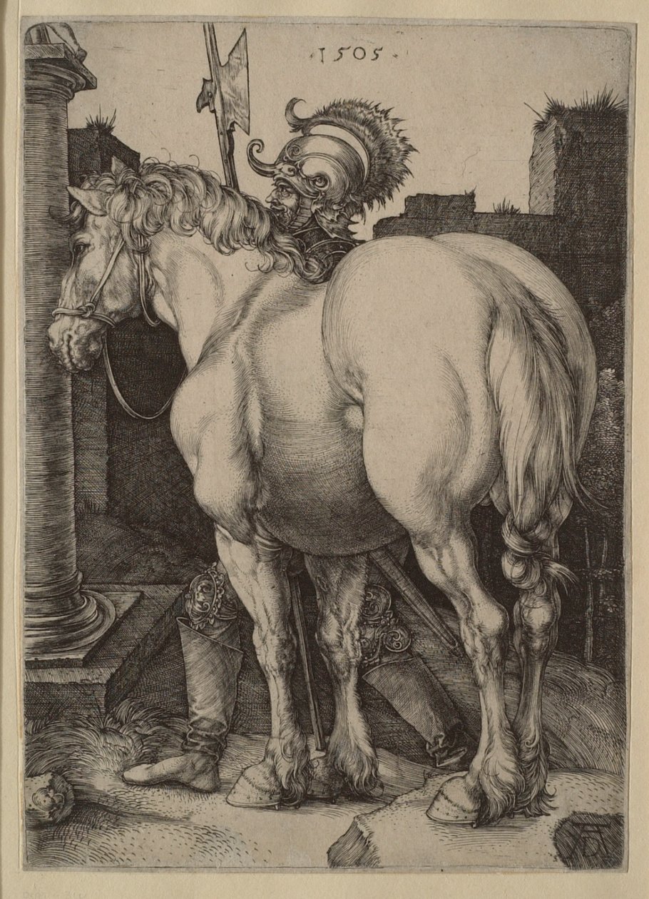 Das große Pferd von Albrecht Dürer