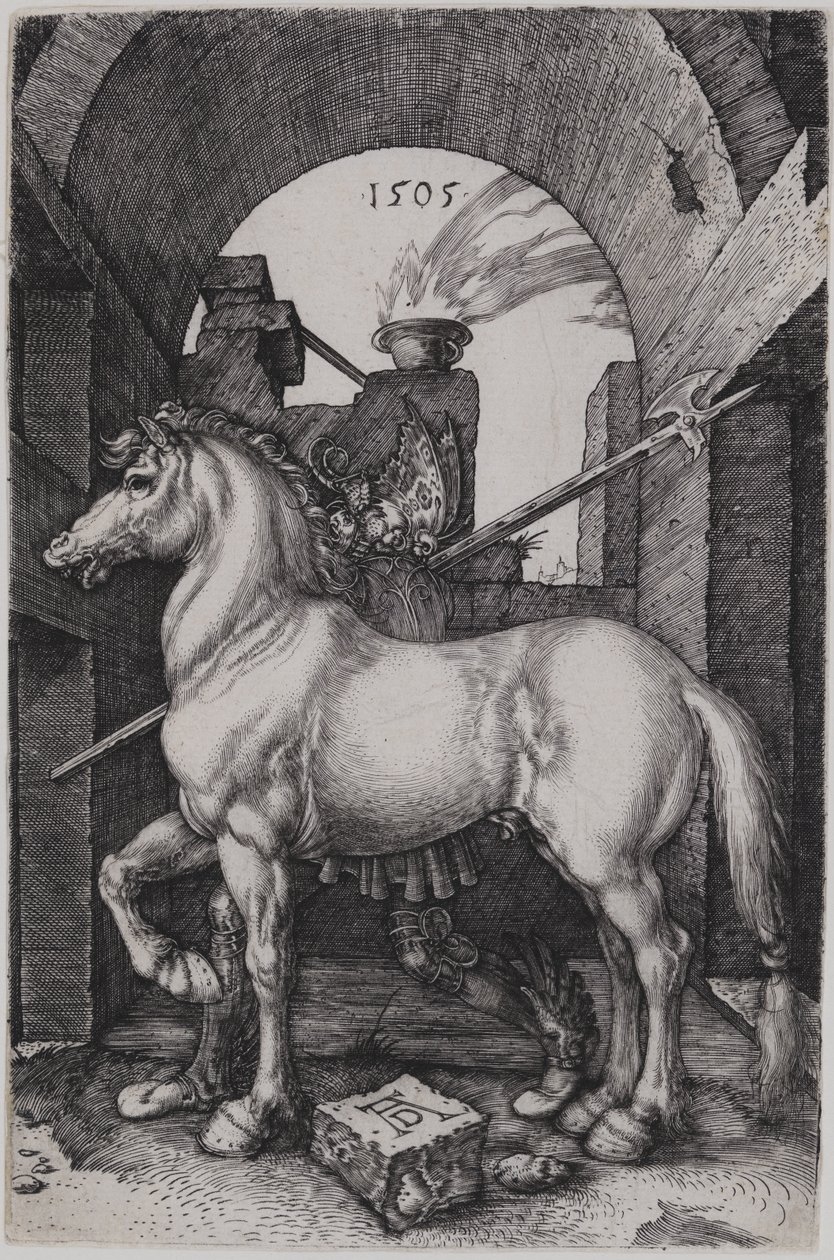 Das kleine Pferd von Albrecht Dürer